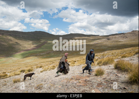 Les éleveurs sotho, Drakensberg Mountain, au Lesotho Banque D'Images