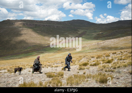 Les éleveurs sotho, Drakensberg Mountain, au Lesotho Banque D'Images