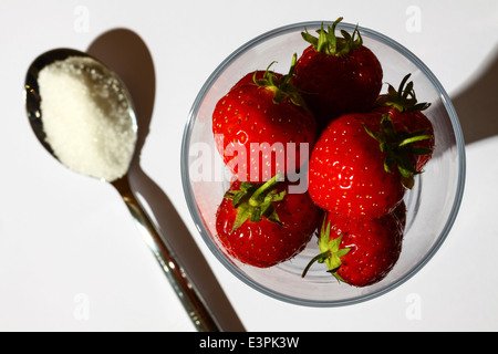 Fraises dans un verre et une cuillère de sucre Banque D'Images