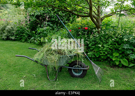 Brouette en jardin anglais à l'East Lambrook Manor Gardens, South Petherton, Somerset conçu par Margery Fish Banque D'Images