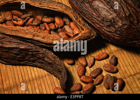 Cosses de fèves de cacao Chocolat avec écrou à l'intérieur des fruits. Sertagex Banque D'Images