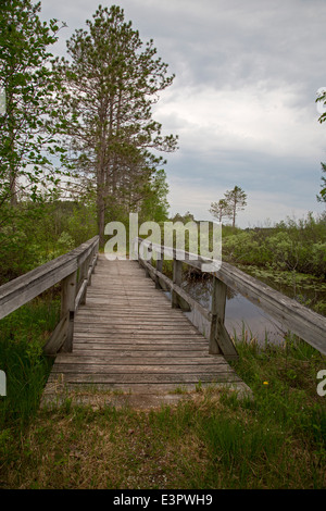 Seney, Michigan - un sentier de randonnée à Seney National Wildlife Refuge. Banque D'Images