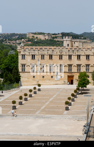 Le Musée du Petit Palais à Avignon, Provence, France Banque D'Images