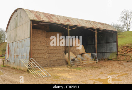 Balles de foin dans une grange ondulée dans un champ d'une ferme près de Winchcombe dans les Cotswolds, Gloucestershire, Angleterre, Royaume-Uni Banque D'Images