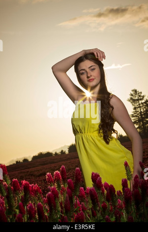 Belle jeune femme posant dans un champ de trèfle au coucher du soleil Banque D'Images