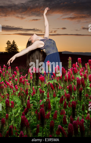 Ballerine danser dans un champ de trèfle au coucher du soleil Banque D'Images