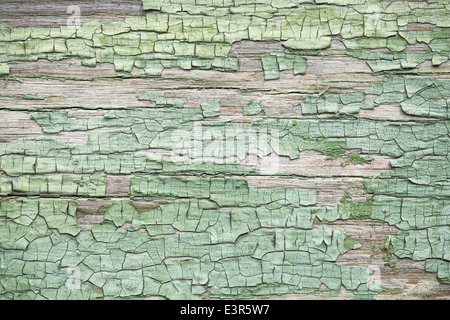 Vieux mur en bois patiné vert avec peinture craquelée Banque D'Images