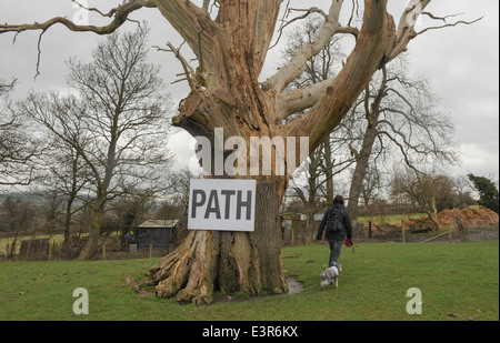 Une femme et un chien Schnauzer marchant loin d'un arbre avec un panneau 'Path' à proximité de Winchcombe dans les Cotswolds, Gloucestershire, Angleterre, Royaume-Uni Banque D'Images