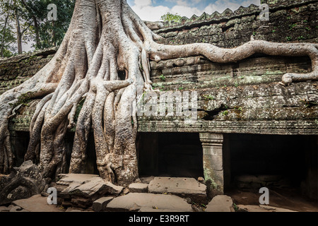 Cambodge voyage historique concept - la pierre ancienne porte et les racines des arbres, ruines du temple Ta Prohm, Angkor, Cambodge Banque D'Images