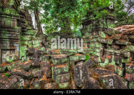 Grande gamme dynamique (HDR) image de ruines antiques d'arbres, Ta Prohm temple, Angkor, Cambodge Banque D'Images