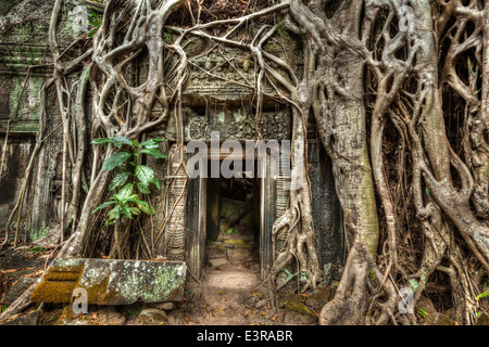 Cambodge voyage historique concept - la pierre ancienne porte et les racines des arbres, ruines du temple Ta Prohm, Angkor, Cambodge Banque D'Images