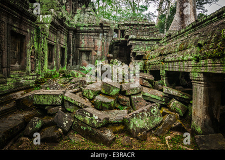 Grande gamme dynamique (HDR) image de la pierre ancienne ruines de Ta Prohm temple, Angkor, Cambodge Banque D'Images