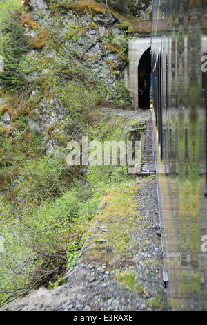 Alaska Alaska Railroad, l'Orignal, Glacier, Île dans le brouillard. Banque D'Images