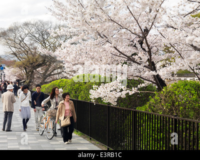 Les gens dans les rues de Kyoto, au Japon pendant la saison des cerisiers en fleur, printemps 2014. Niomon dori, Keage, Kyoto. Banque D'Images