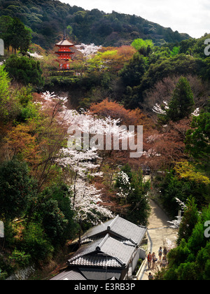 Pagode de Temple Kiyomizu-dera temple bouddhiste au cours de cerisiers en fleurs au printemps 2014 dans la région de Higashiyama, Kyoto, Japon. Banque D'Images