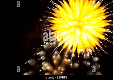 Résumé d'artifice dans le ciel de nuit Banque D'Images