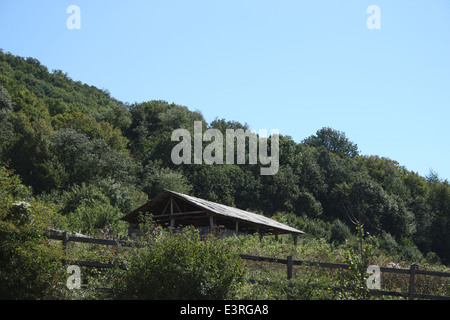 Bergerie traditionnelle roumaine dans un paysage verdoyant. Banque D'Images