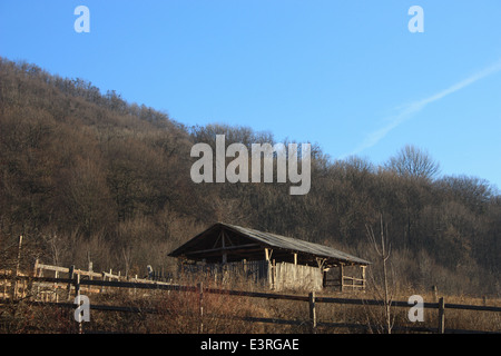 Bergerie traditionnelle roumaine dans un paysage verdoyant. Banque D'Images