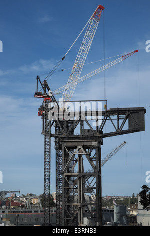 Grue à tête de marteau à la base navale Garden Island de Sydney, Sydney, Nouvelle-galles du Sud, australie Banque D'Images
