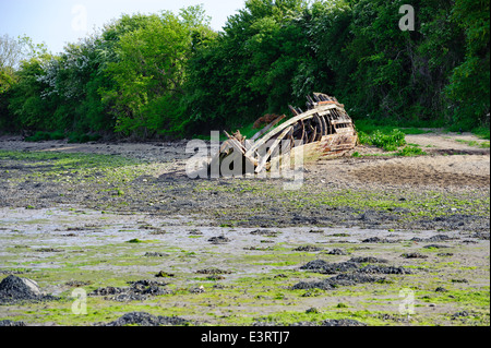 Vieux bateau de pêche près de Saltmills, Co Wexford, Irlande Banque D'Images