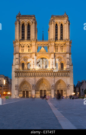 La cathédrale Notre Dame de Paris Vue de nuit Banque D'Images