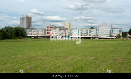 Vue sur Broadwater Farm Estate Tottenham le logement social à partir de la Seigneurie Recreation Ground park North London UK KATHY DEWITT Banque D'Images