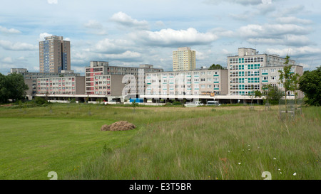 Broadwater Farm Estate Tottenham le logement social et une haute tour d'horizon sur bloc près de Seigneurie Recreation Ground North London UK KATHY DEWITT Banque D'Images