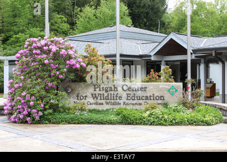 Pisgah Centre for Wildlife Education in Pisgah Forest National près de Brevard, Caroline du Nord est l'accueil d'une ferme piscicole, Banque D'Images