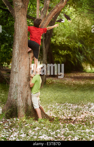 Deux enfants d'aider les uns les autres pour grimper sur un arbre et d'atteindre pour les chaussures on branch Banque D'Images