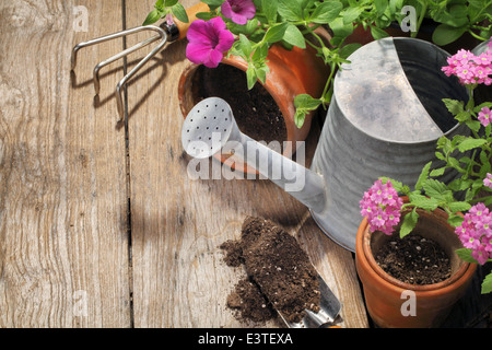 Outils de jardinage et de fleurs sur fond de bois Banque D'Images