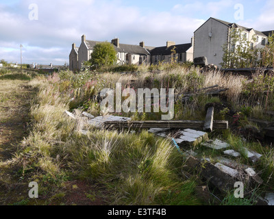 Tout ce qui est à gauche du parc de sapins. Falkirk. Ancienne maison d'East Stirlingshire FC vue est vers la seule entrée. Banque D'Images