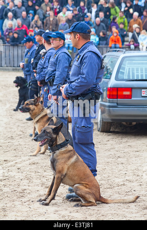 SANKT Gallen, SUISSE - 22 OCTOBRE : Police démontre la formation de chien sur le spectacle 'agricole Olma' le 22 octobre 2011 à Sankt Gallen, Suisse Banque D'Images
