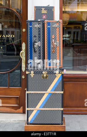 Bagages de luxe sur un chariot Banque D'Images