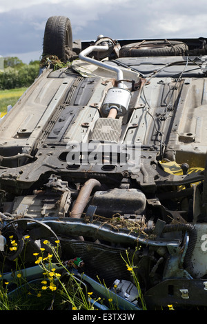 Voiture roulé dans une prairie de renoncule après l'accident de la route Banque D'Images