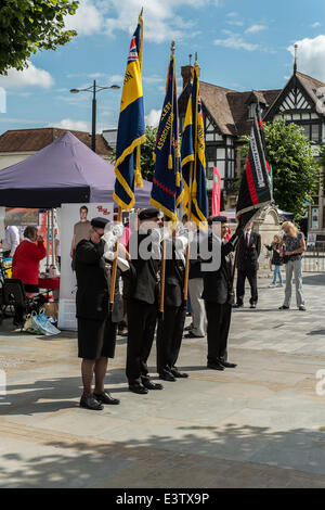 Salisbury, Royaume-Uni. 29 Juin, 2014. La Journée des Forces armées dans la région de Salisbury. 2014 La Journée des Forces armées des événements ont lieu dans tout le pays. Crédit : Paul Chambers/Alamy Live News Banque D'Images