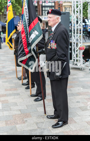 Salisbury, Royaume-Uni. 29 Juin, 2014. La Journée des Forces armées dans la région de Salisbury. 2014 La Journée des Forces armées des événements ont lieu dans tout le pays. Crédit : Paul Chambers/Alamy Live News Banque D'Images