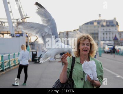 Brighton, UK. 29 Juin, 2014. Une femme est pris par surprise comme les mouettes un Goéland argenté Larus argentatus voler son donuts qu'elle marche le long du front de mer de Brighton Banque D'Images