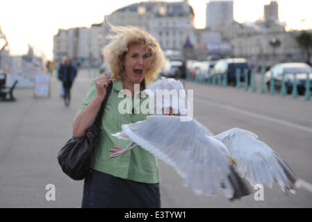 Brighton, UK. 29 Juin, 2014. Une femme est pris par surprise comme les mouettes un Goéland argenté Larus argentatus voler son donuts qu'elle marche le long du front de mer de Brighton Banque D'Images