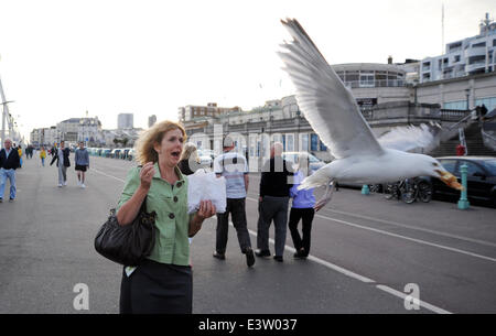 Brighton, UK. 29 Juin, 2014. Une femme est pris par surprise comme les mouettes un Goéland argenté Larus argentatus voler son donuts qu'elle marche le long du front de mer de Brighton Banque D'Images