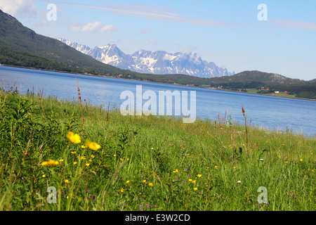 Belle vue sur fjord et montagnes dans le nord de la Norvège Banque D'Images