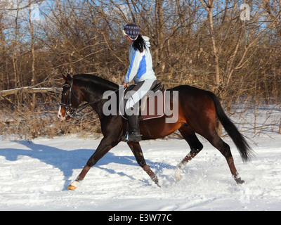Jeune à l'arrière du cheval allemand trotting au winter Banque D'Images