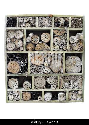 Bug Chambre fournissant des trous de nidification pour une variété d'Minibeasts Banque D'Images