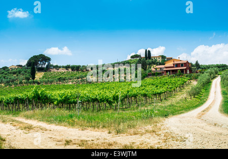 Les plantations de vigne et ferme en Toscane, Italie. Banque D'Images