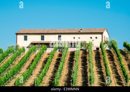 Les plantations de vigne et agritourisme en Toscane, Italie. Banque D'Images