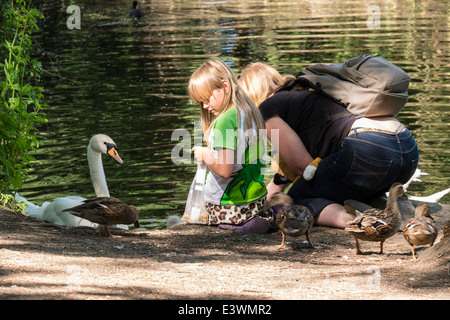 Nourrir les oiseaux au lac Milton Cambridgeshire Angleterre Banque D'Images