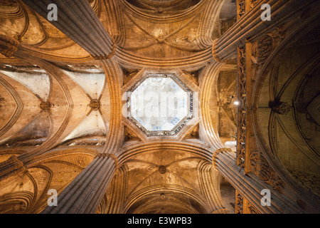 Plafond voûté gothique avec dôme de la cathédrale de Barcelone (cathédrale de la Sainte Croix et Sainte Eulalia) en Catalogne, Espagne. Banque D'Images