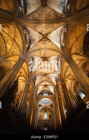 Plafond voûté gothique de la cathédrale de Barcelone (cathédrale de la Sainte Croix et Sainte Eulalia) en Catalogne, Espagne. Banque D'Images