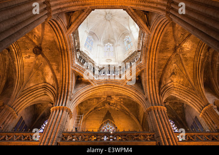 Plafond voûté gothique avec dôme de la cathédrale de Barcelone en Catalogne, Espagne. Banque D'Images