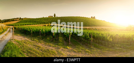 Vignobles en Toscane. Maison de ferme au coucher du soleil. Vue panoramique Banque D'Images