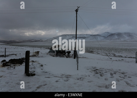 Tous les 4X4 véhicule bloqué dans la neige sur une route rurale juste en dehors de Ceres, Afrique du Sud Banque D'Images